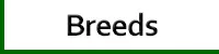 breeds graphic