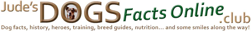 Dogs Facts Online Club, your source for everything about our best friends!
